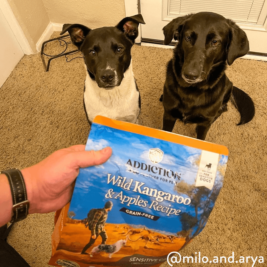 Wild Kangaroo & Apples Recipe Dry Dog Food - Elite Pet Collective