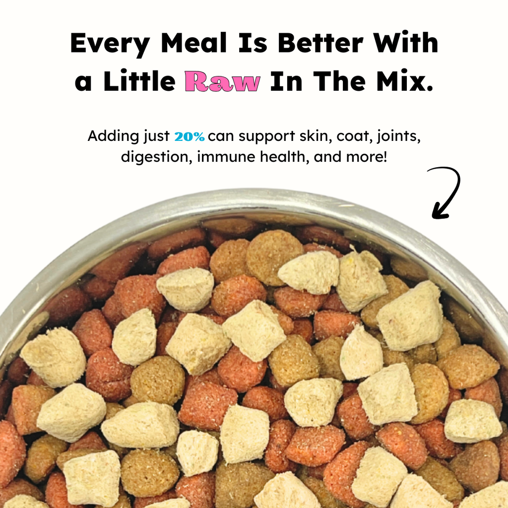 Chicken and Veggies Balanced Bowl - Elite Pet Collective