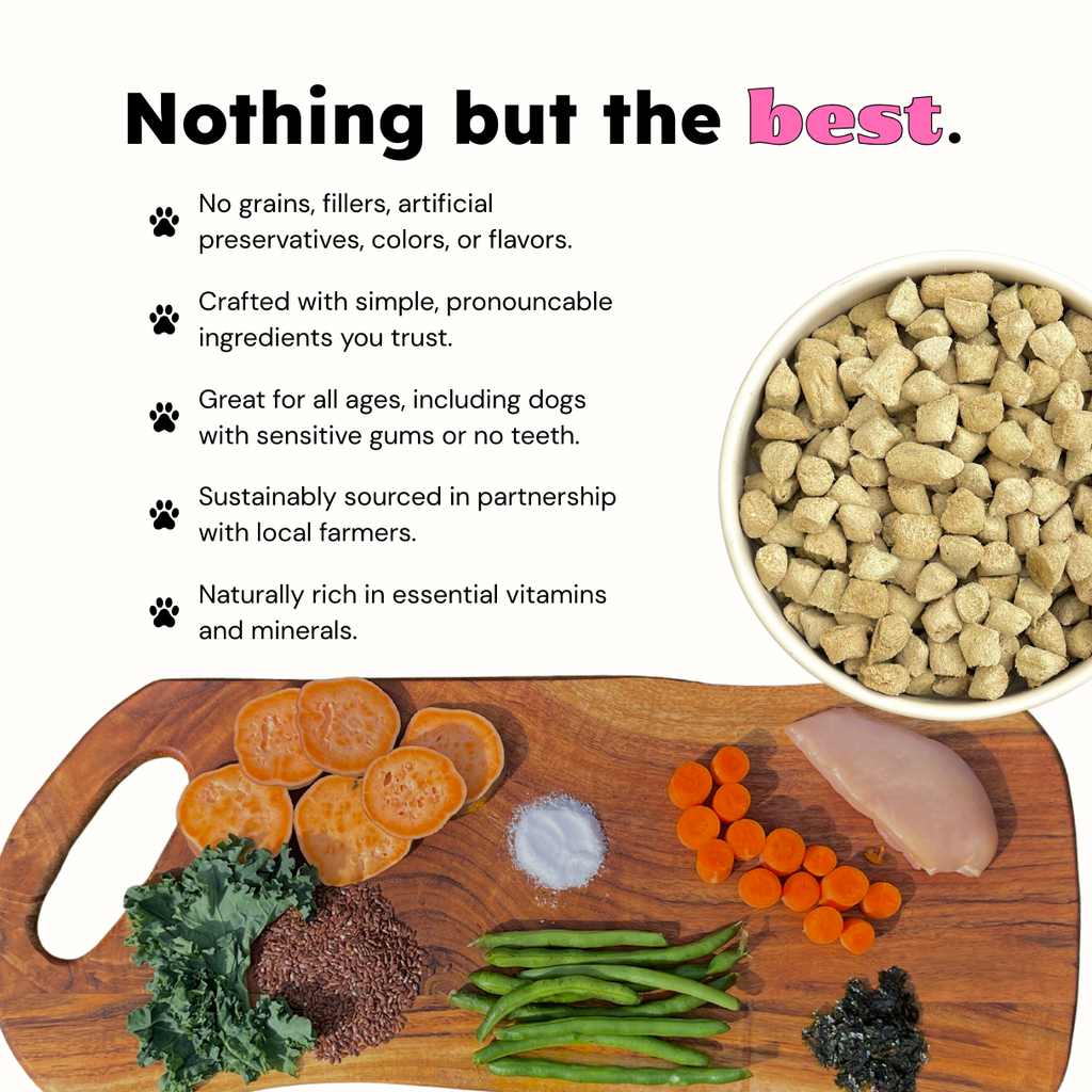 Chicken and Veggies Balanced Bowl - Elite Pet Collective