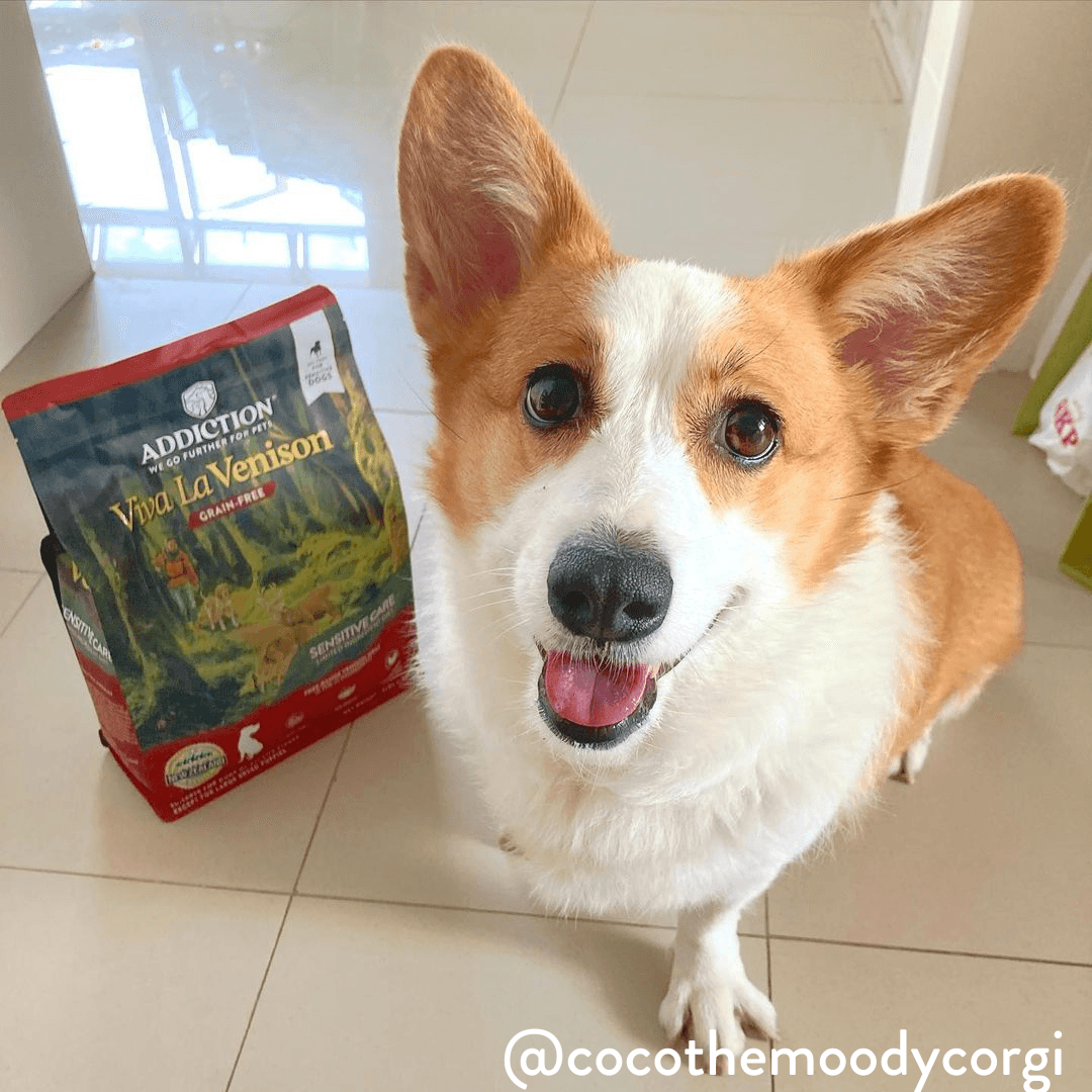 Viva La Venison Dry Dog Food - Elite Pet Collective