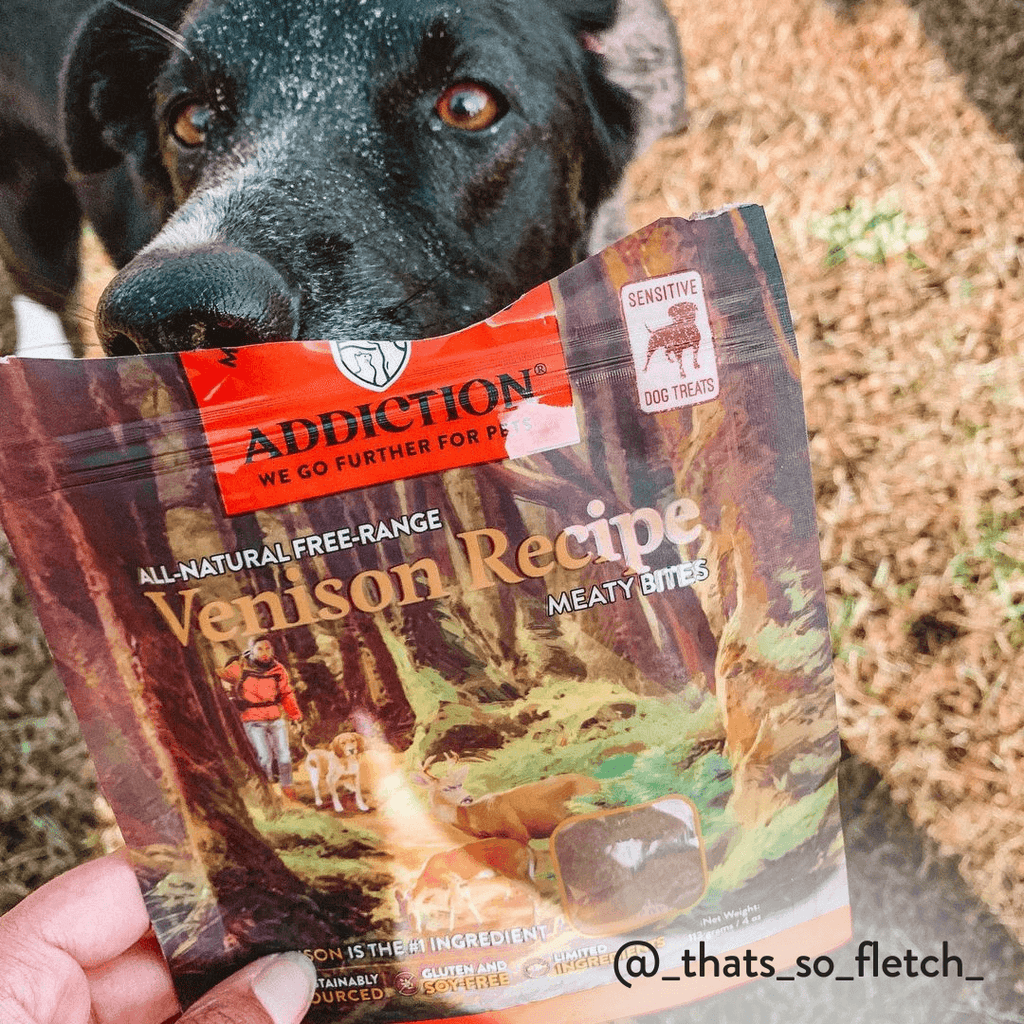 Venison Meaty Bites - Hypoallergenic Dog Treats - Elite Pet Collective