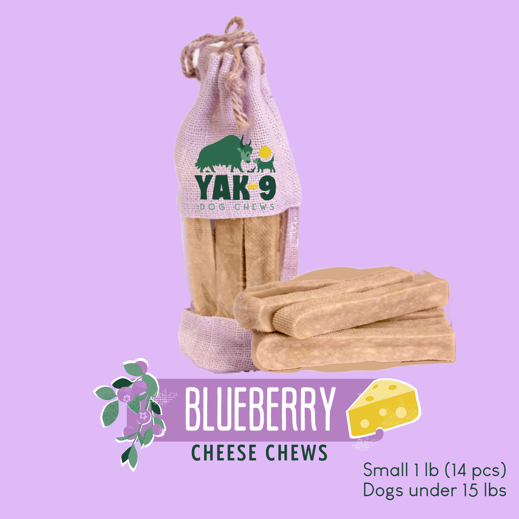 Blueberry Cheese Chews for Dogs - Elite Pet Collective