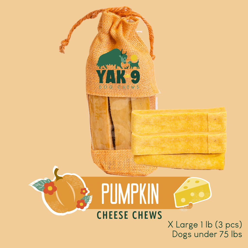 Pumpkin Cheese Chews for Dogs - Elite Pet Collective