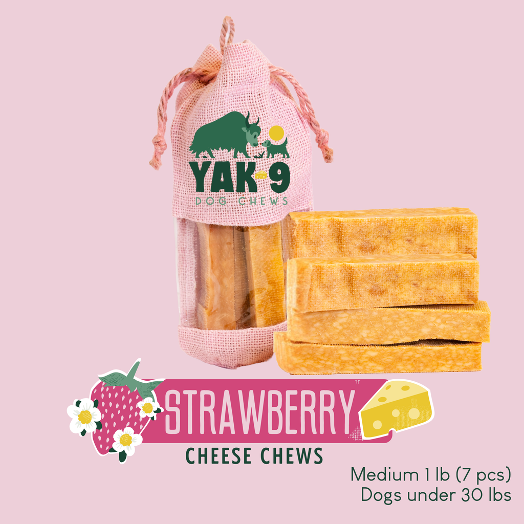 Strawberry Cheese Chews for Dogs - Elite Pet Collective