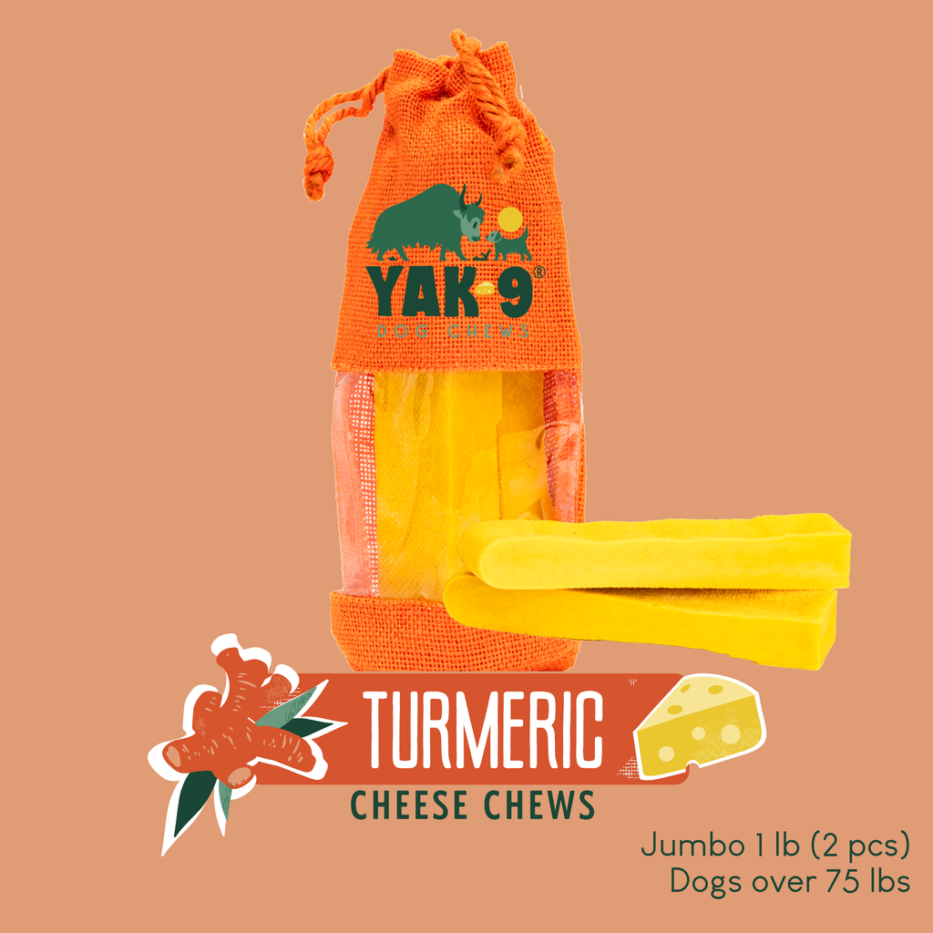 Turmeric Cheese Chews for Dogs - Elite Pet Collective