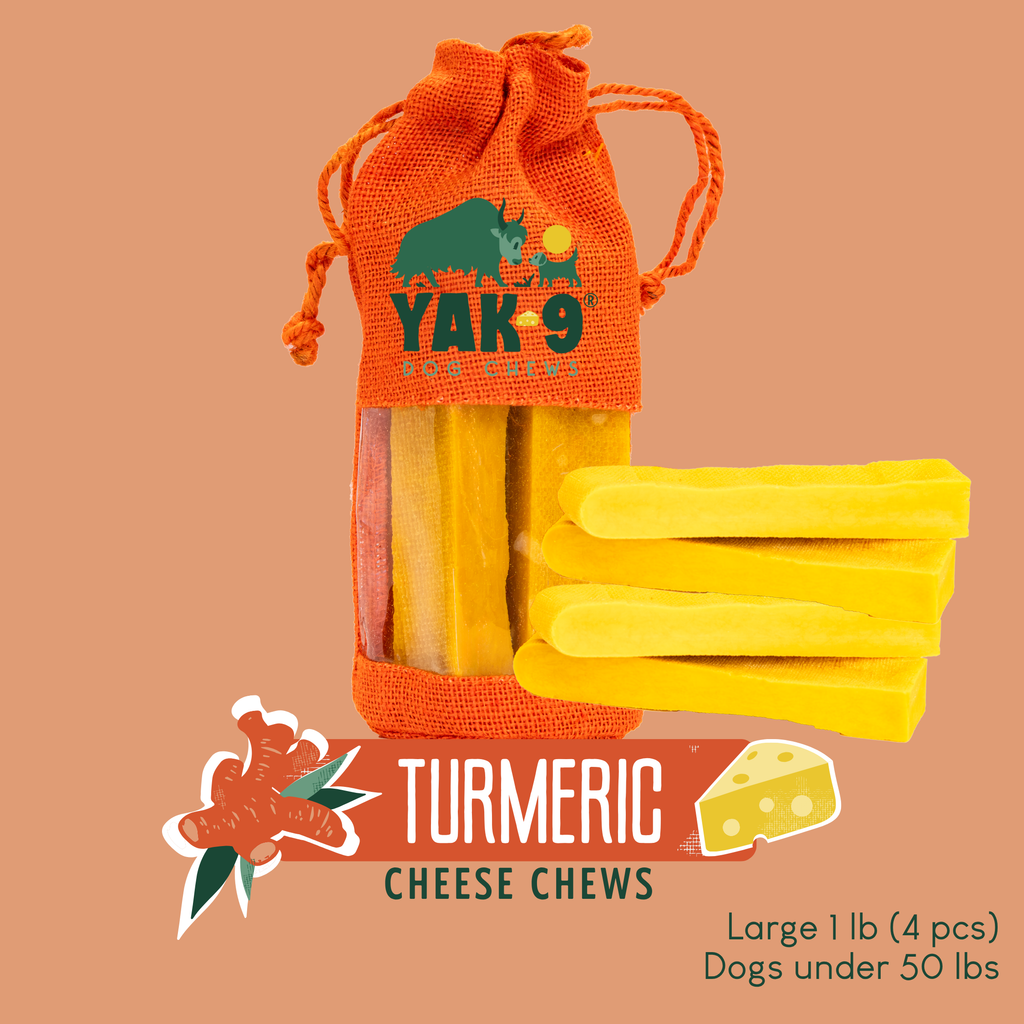 Turmeric Cheese Chews for Dogs - Elite Pet Collective