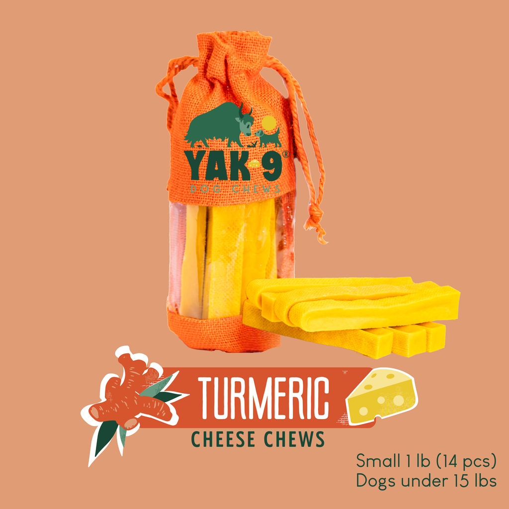 Turmeric Cheese Chews for Dogs - Elite Pet Collective