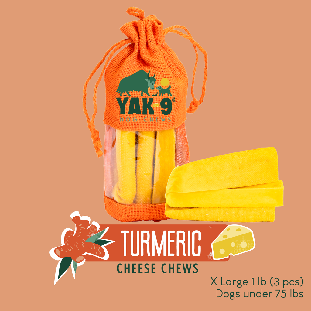 Turmeric Cheese Chews for Dogs - Elite Pet Collective