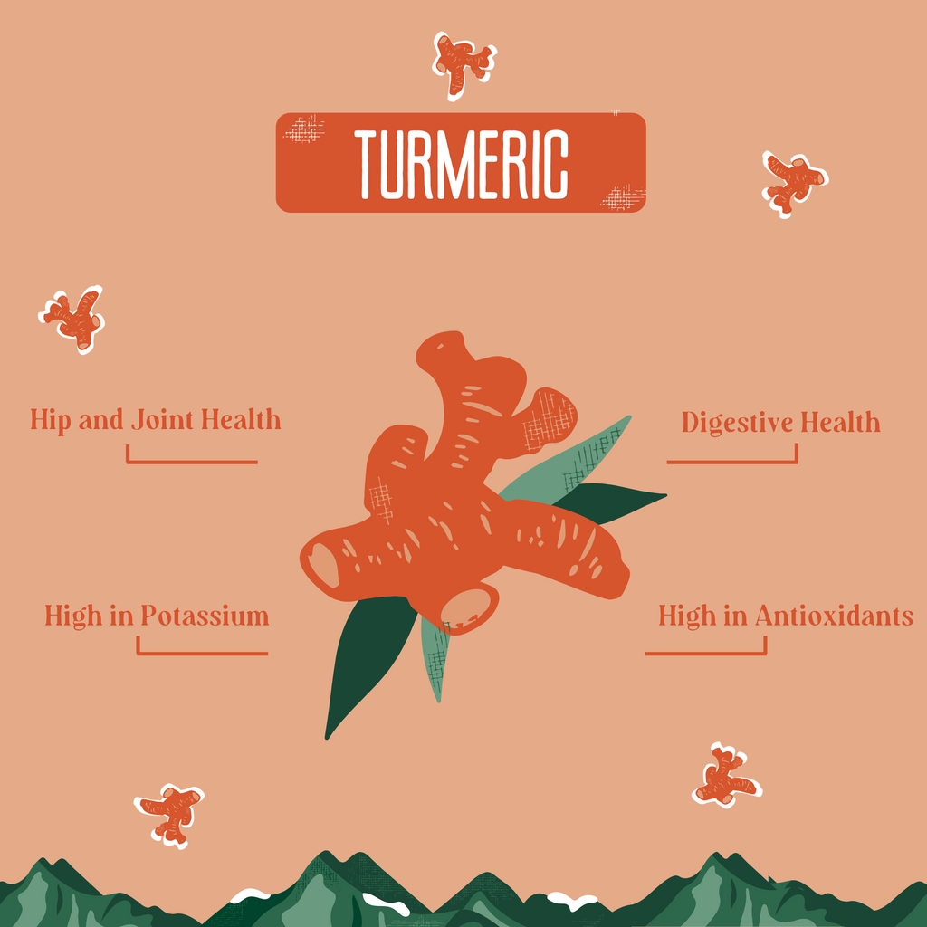 Turmeric Cheese Chews for Dogs - Elite Pet Collective