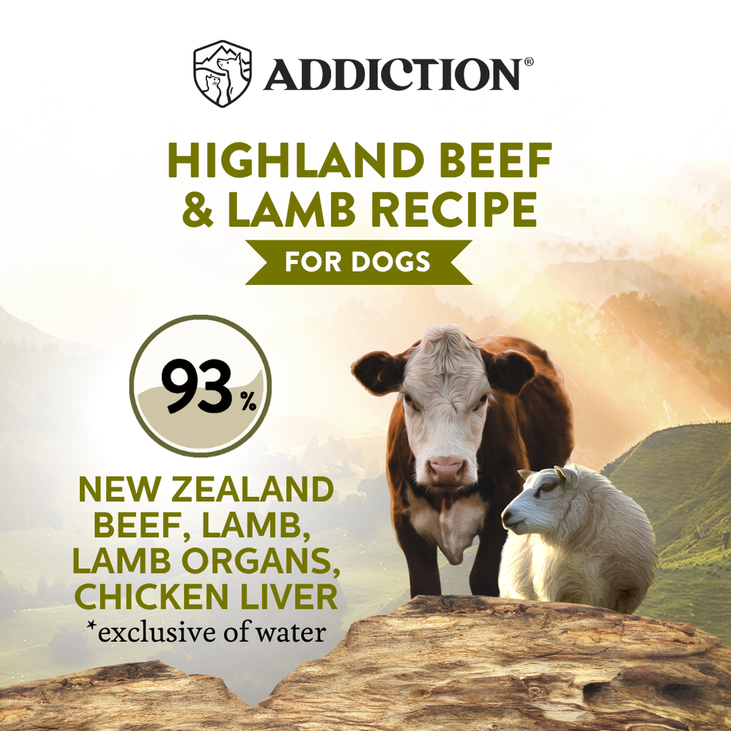 Wild Islands Highland Beef & Lamb Recipe Premium Grain-free Canned Dog Food 185g - Elite Pet Collective