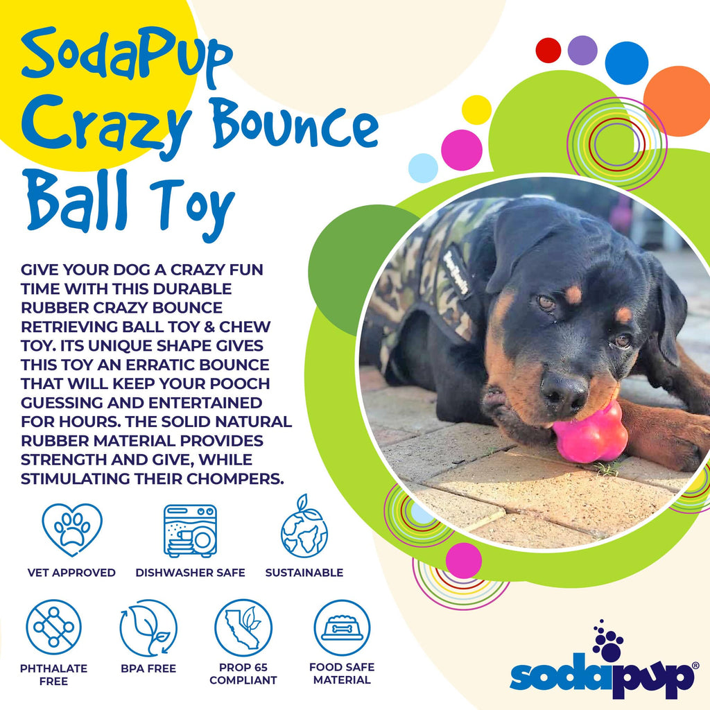 Crazy Bounce Rubber Dog Chew Toy for Power Chewers | Retrieving Ball | USA Made - Elite Pet Collective