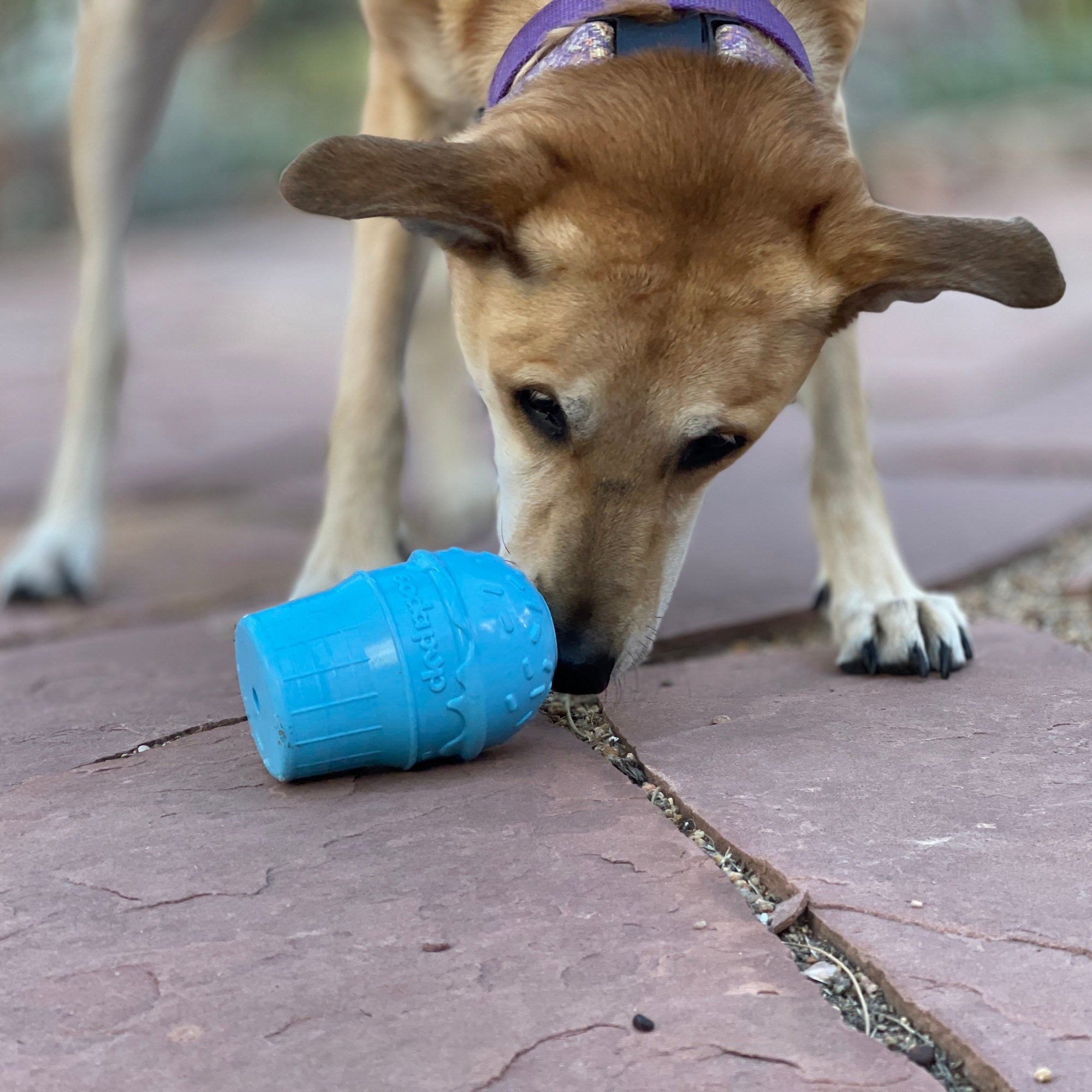 Ice Cream Cone Rubber Dog Chew Toy for Power Chewers | USA Made | SodaPup - Elite Pet Collective