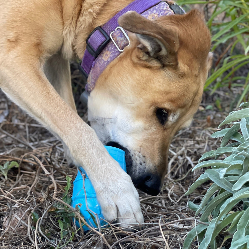 Ice Cream Cone Rubber Dog Chew Toy for Power Chewers | USA Made | SodaPup - Elite Pet Collective