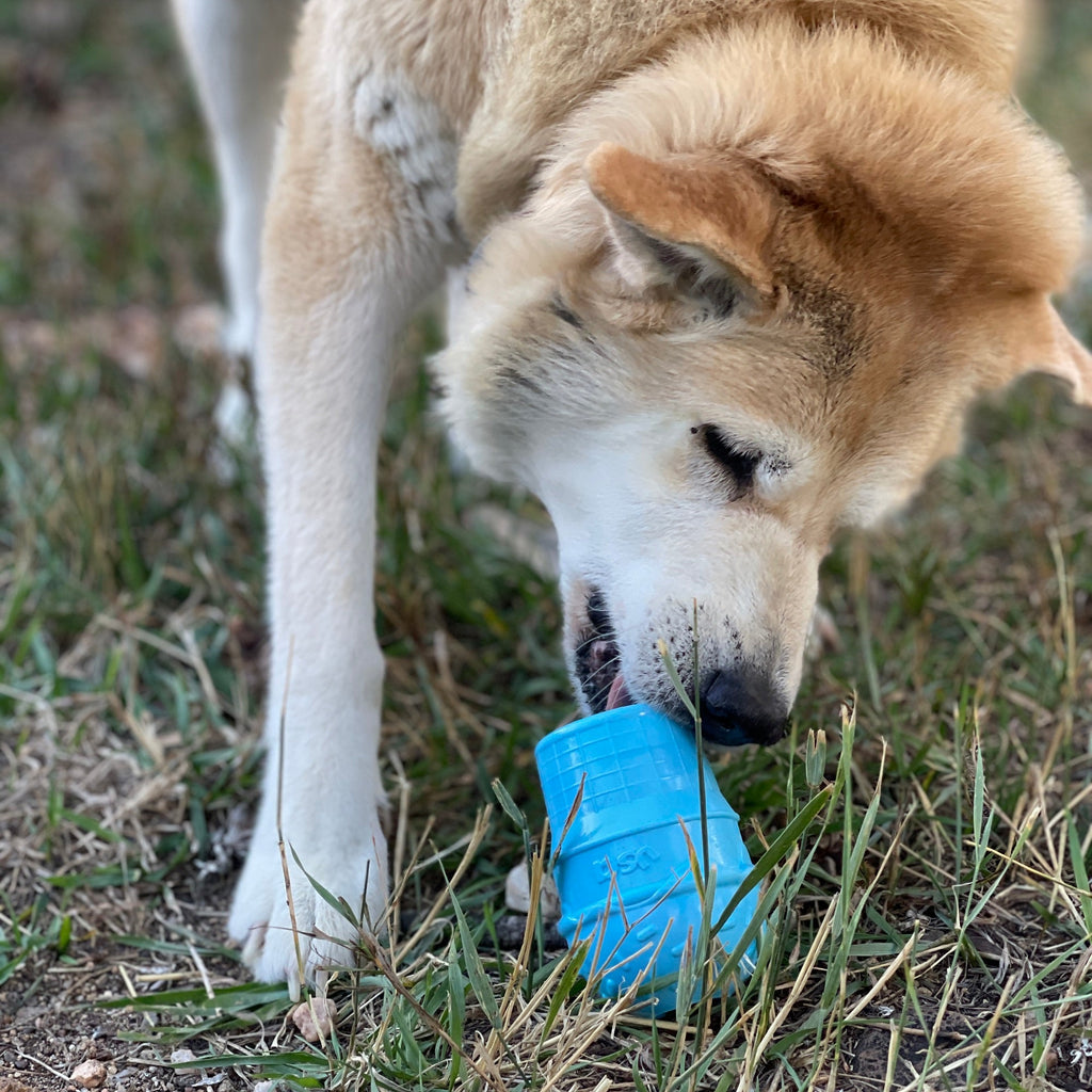 Ice Cream Cone Rubber Dog Chew Toy for Power Chewers | USA Made | SodaPup - Elite Pet Collective