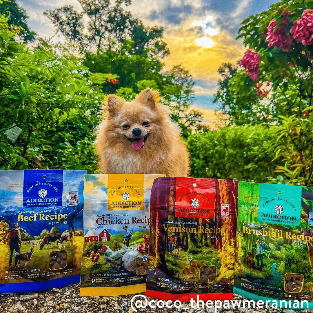 Venison Meaty Bites - Hypoallergenic Dog Treats - Elite Pet Collective