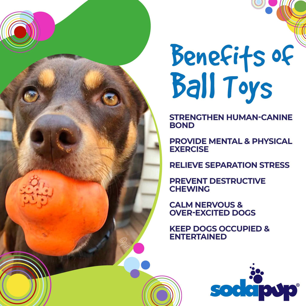 Crazy Bounce Rubber Dog Chew Toy for Power Chewers | Retrieving Ball | USA Made - Elite Pet Collective