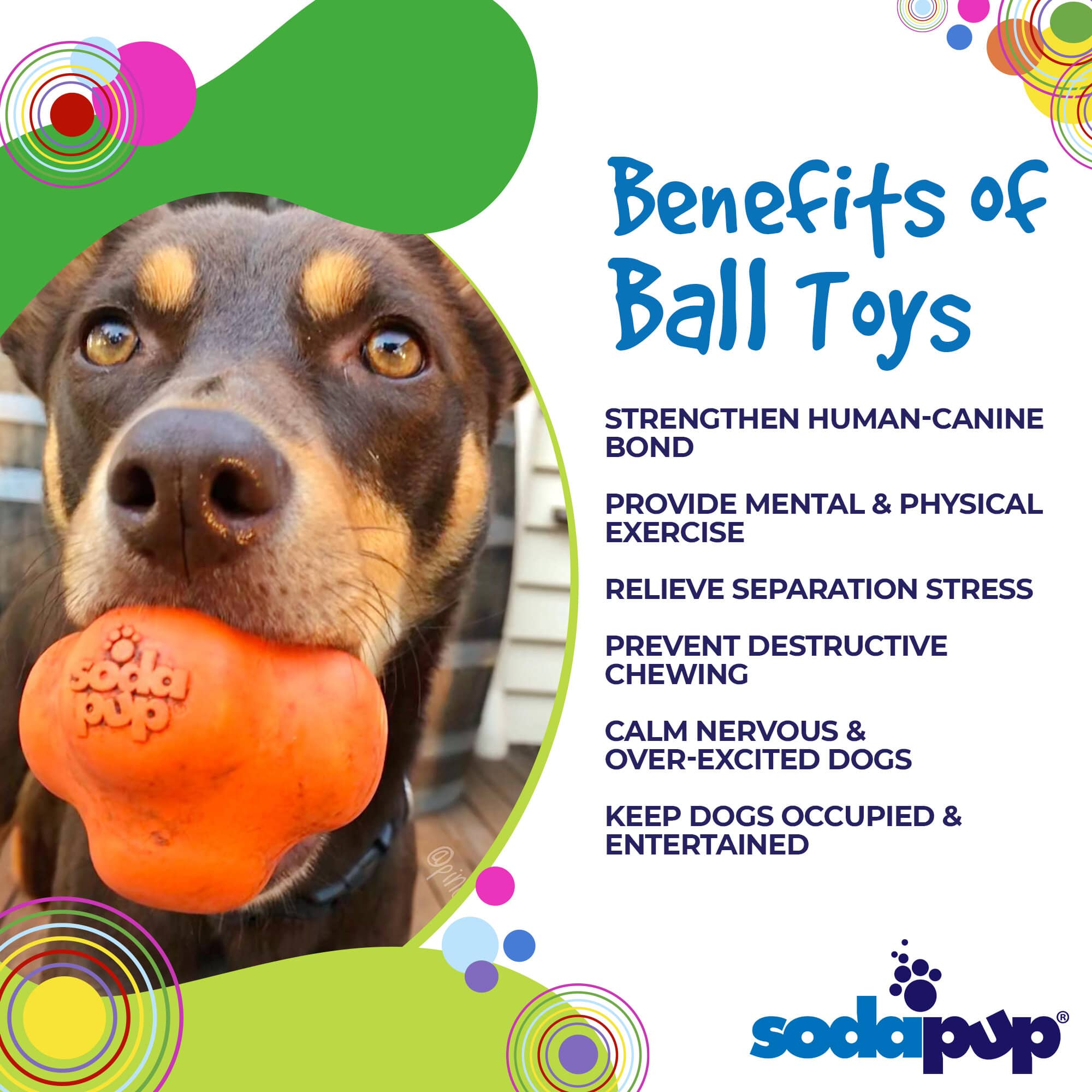 Crazy Bounce Rubber Dog Chew Toy for Power Chewers | Retrieving Ball | USA Made - Elite Pet Collective