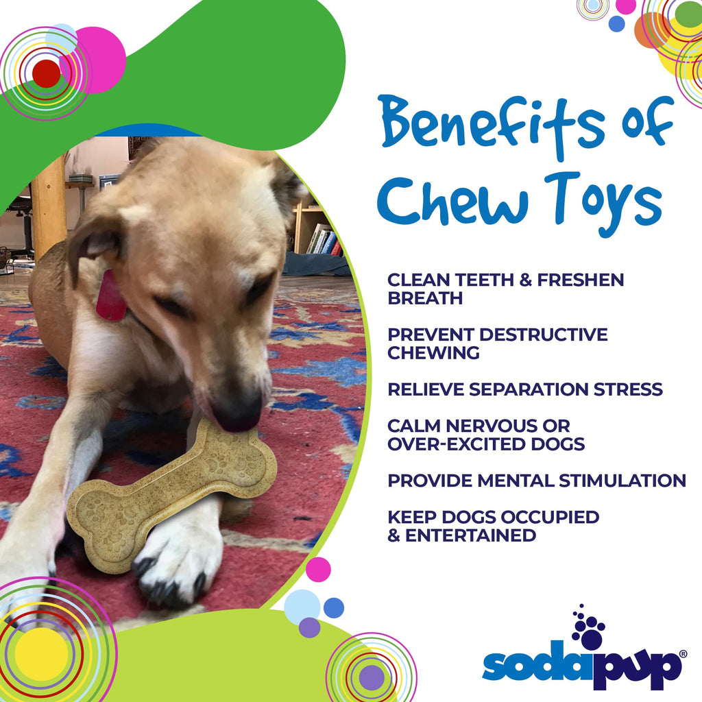 Bone eChew Ultra Durable Nylon Dog Chew Toy for Aggressive Chewers | USA Made - Elite Pet Collective