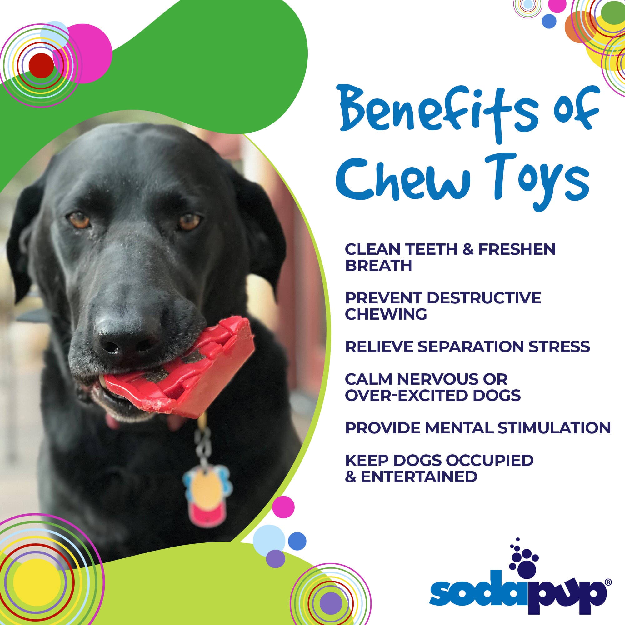 Cherry Pie Nylon Dog Chew Toy for Aggressive Chewers | USA Made | SodaPup - Elite Pet Collective