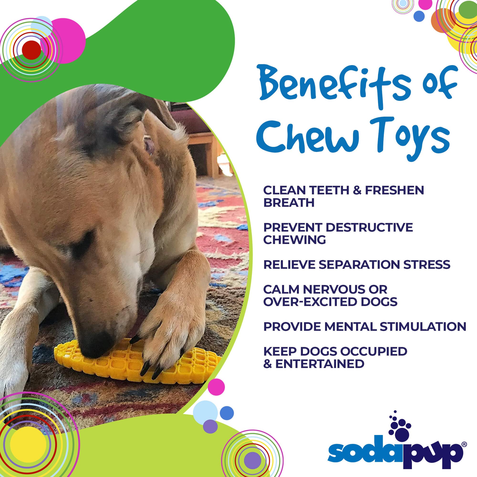 Corn on the Cob Nylon Dog Toy for Aggressive Chewers | USA Made | SodaPup - Elite Pet Collective