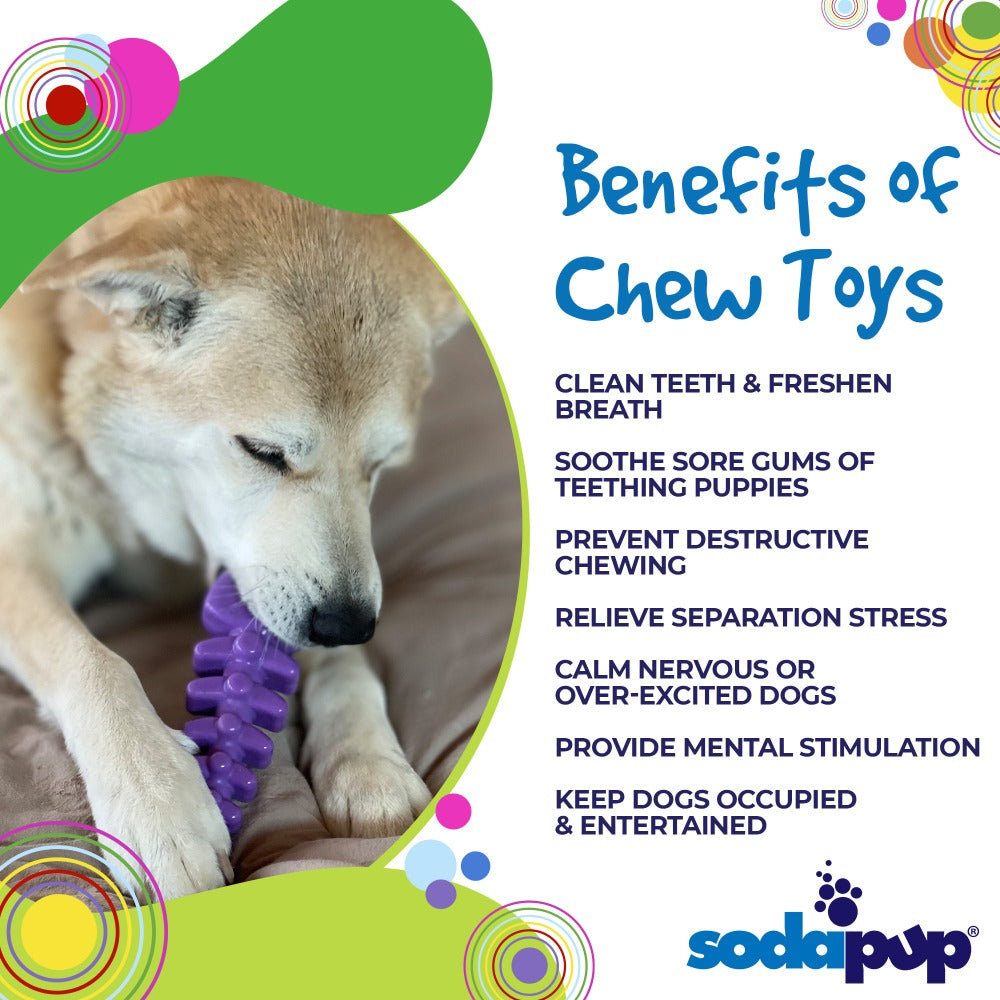 Fish Bone Nylon Dog Toy for Aggressive Chewers | USA Made | SodaPup - Elite Pet Collective