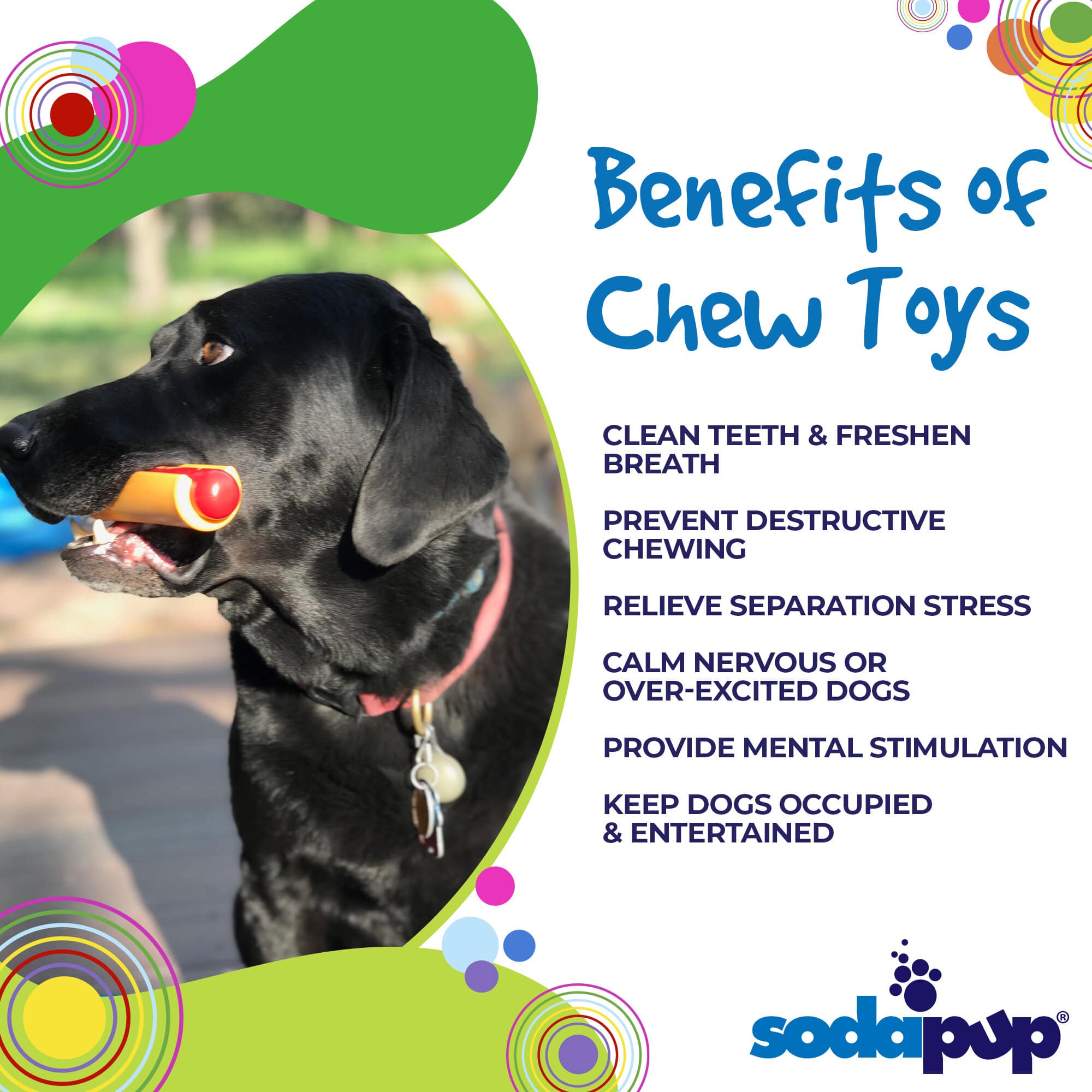 Hot Dog Nylon Dog Toy for Aggressive Chewers | USA Made | SodaPup - Elite Pet Collective