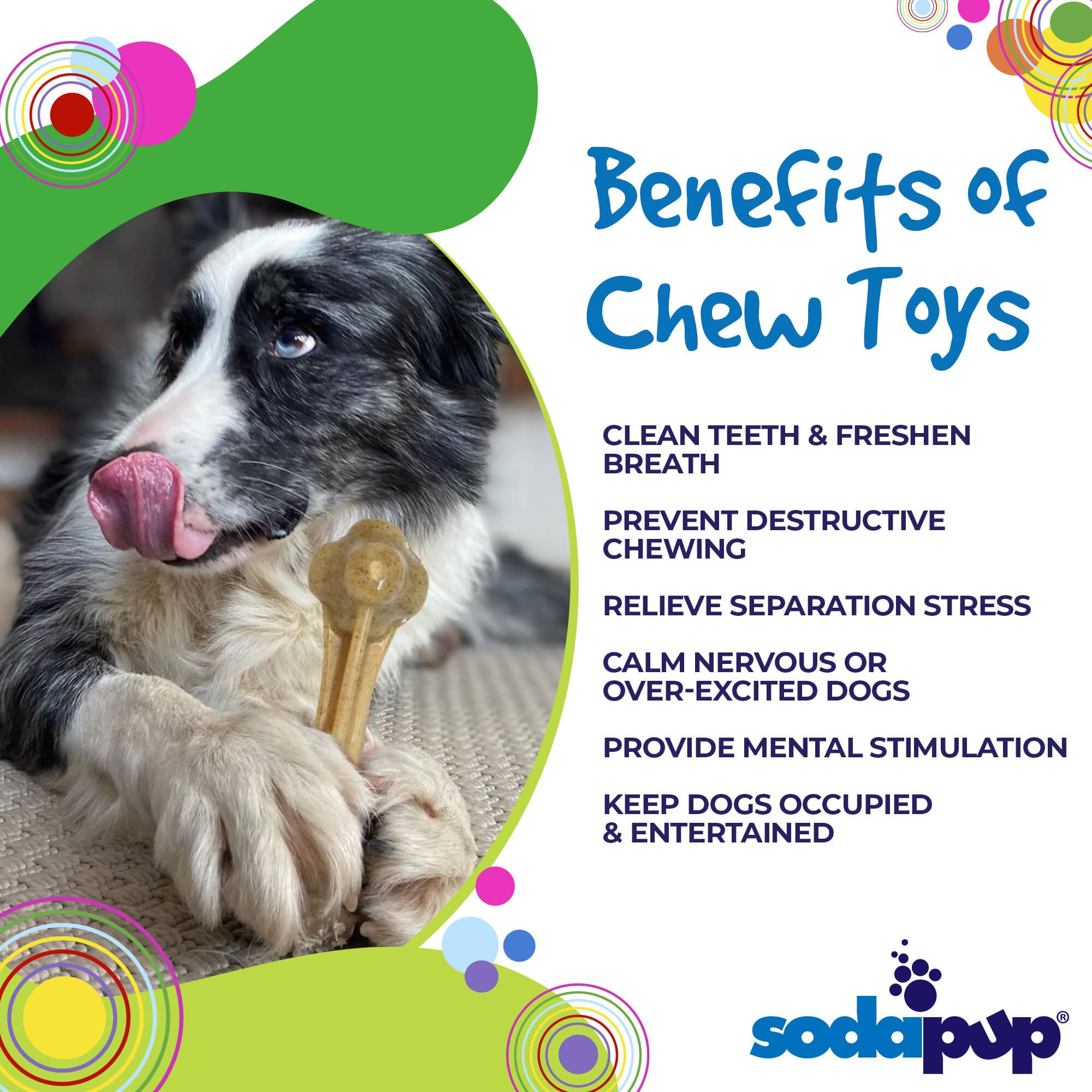 Knuckle Bone Nylon Dog Chew Toy for Aggressive Chewers | Made in USA - Elite Pet Collective