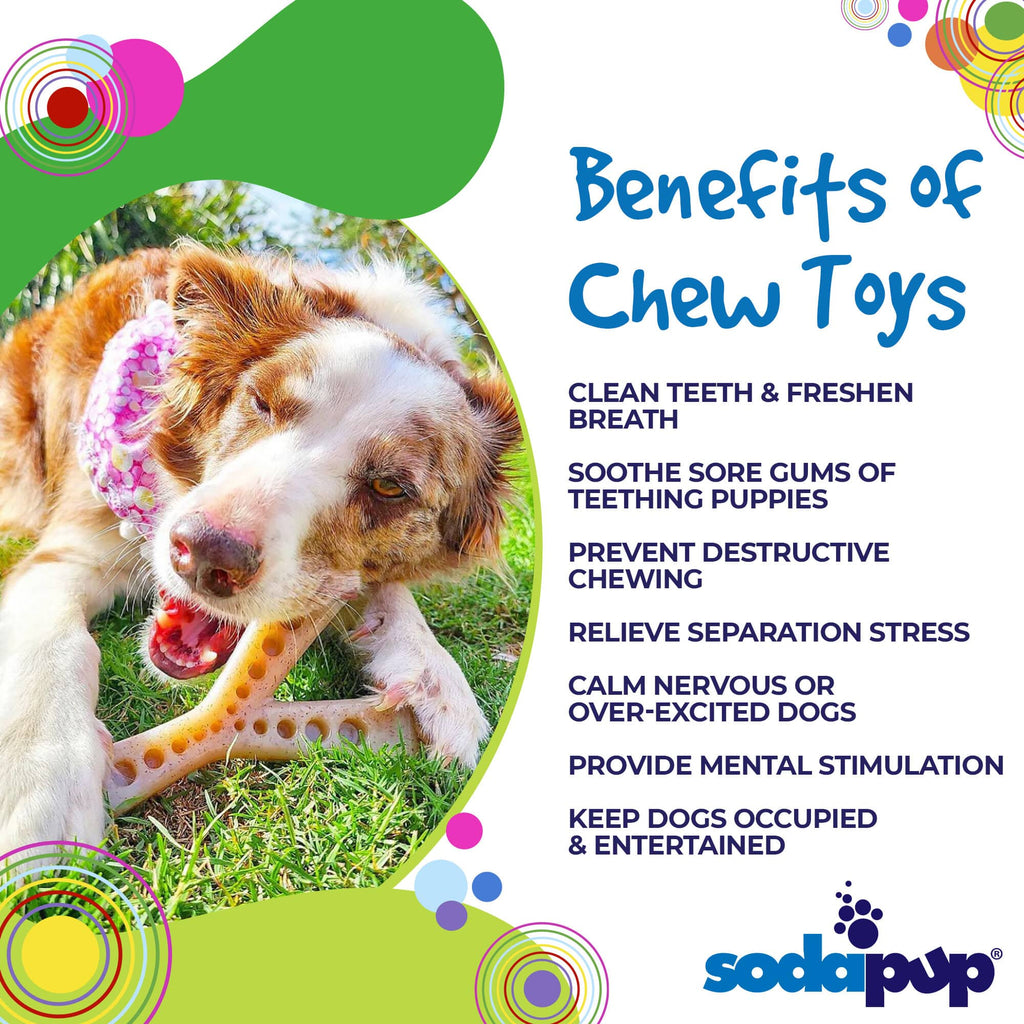 MOD Wishbone Nylon Dog Chew Toy for Aggressive Chewers | USA Made - Elite Pet Collective