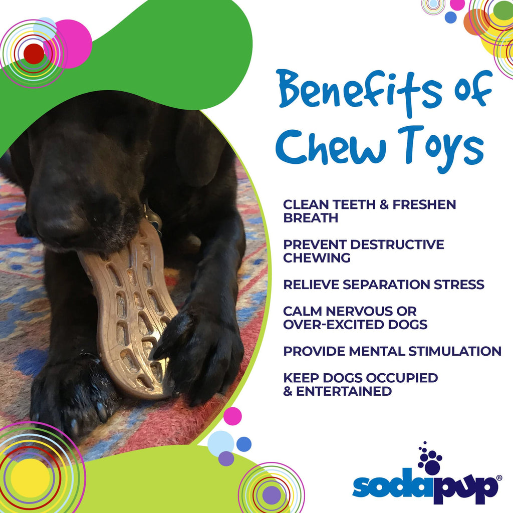 Peanut Nylon Dog Chew Toy | Ultra-Durable for Aggressive Chewers | SodaPup - Elite Pet Collective