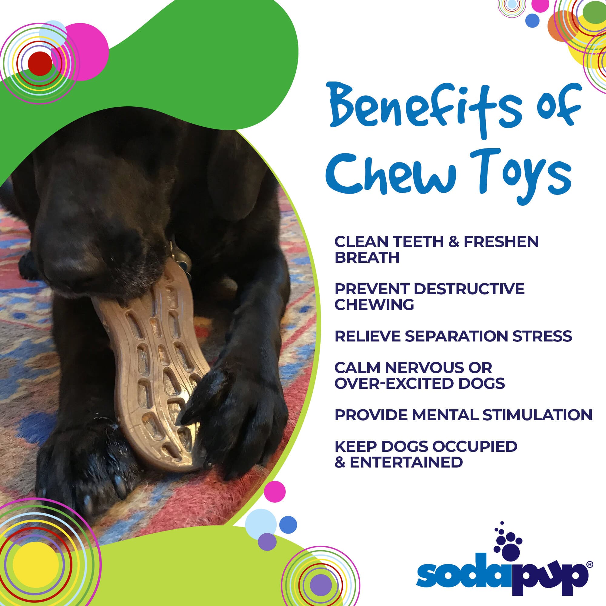 Peanut Nylon Dog Chew Toy | Ultra-Durable for Aggressive Chewers | SodaPup - Elite Pet Collective
