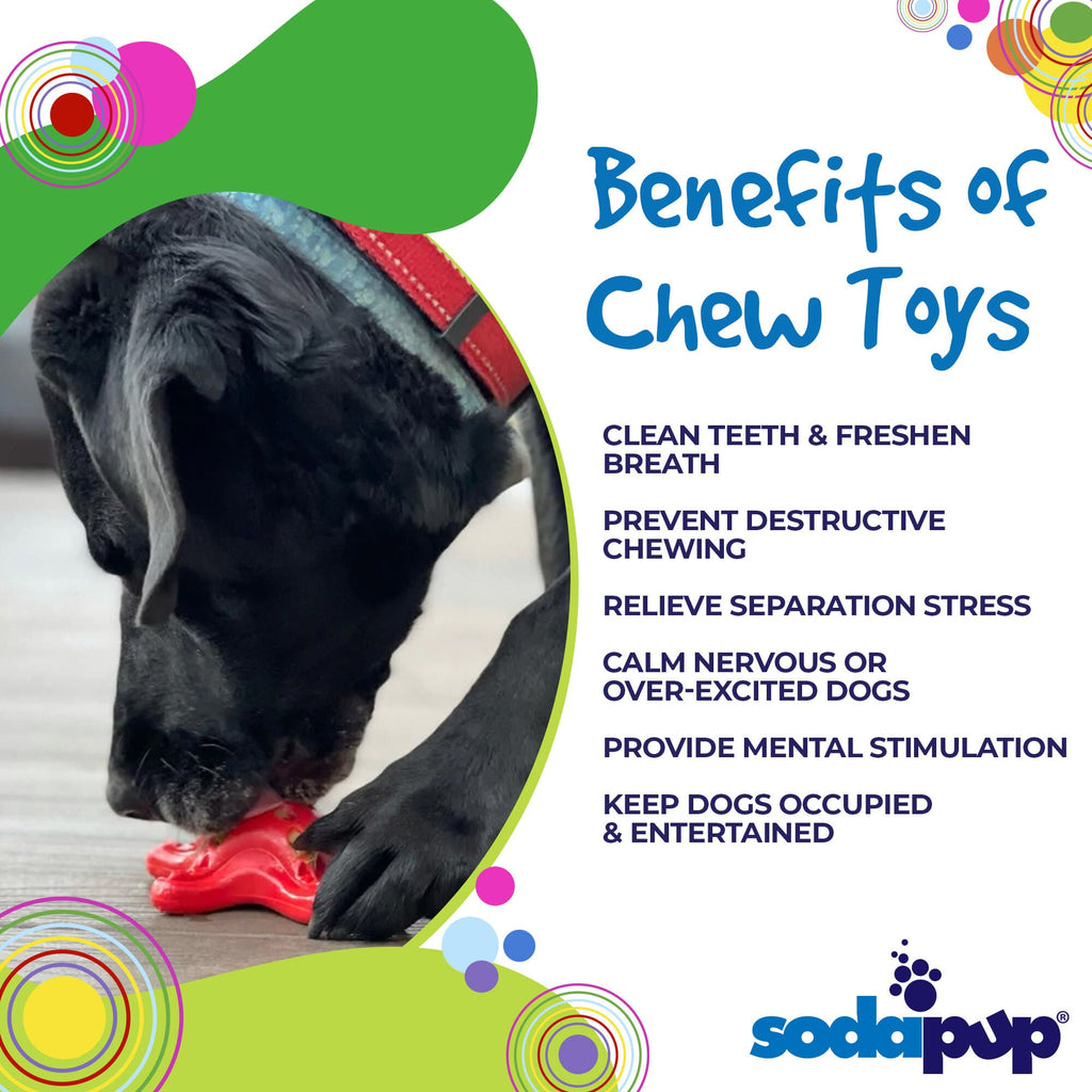 Starfish Nylon Dog Chew Toy for Aggressive Chewers | USA Made | SodaPup - Elite Pet Collective