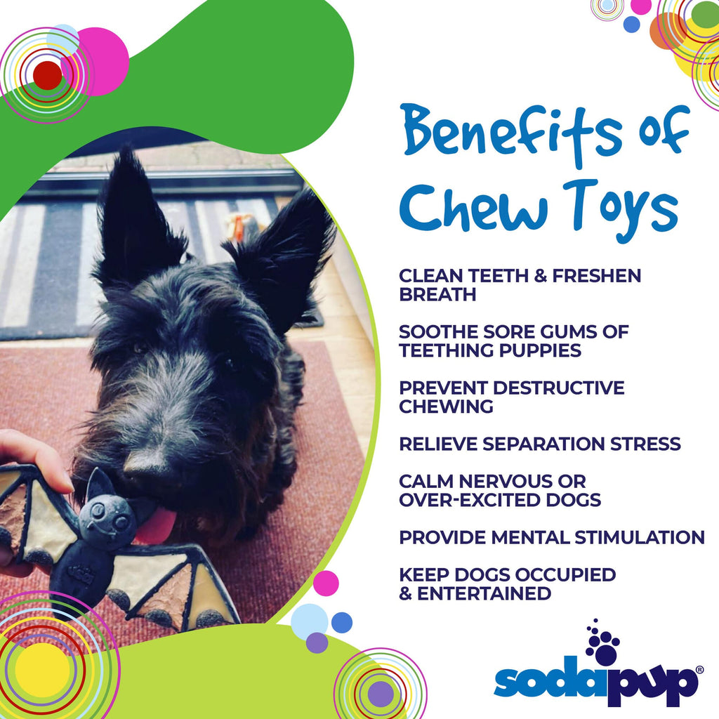 Vampire Bat Nylon Dog Chew Toy for Aggressive Chewers | USA Made & FDA Compliant - Elite Pet Collective