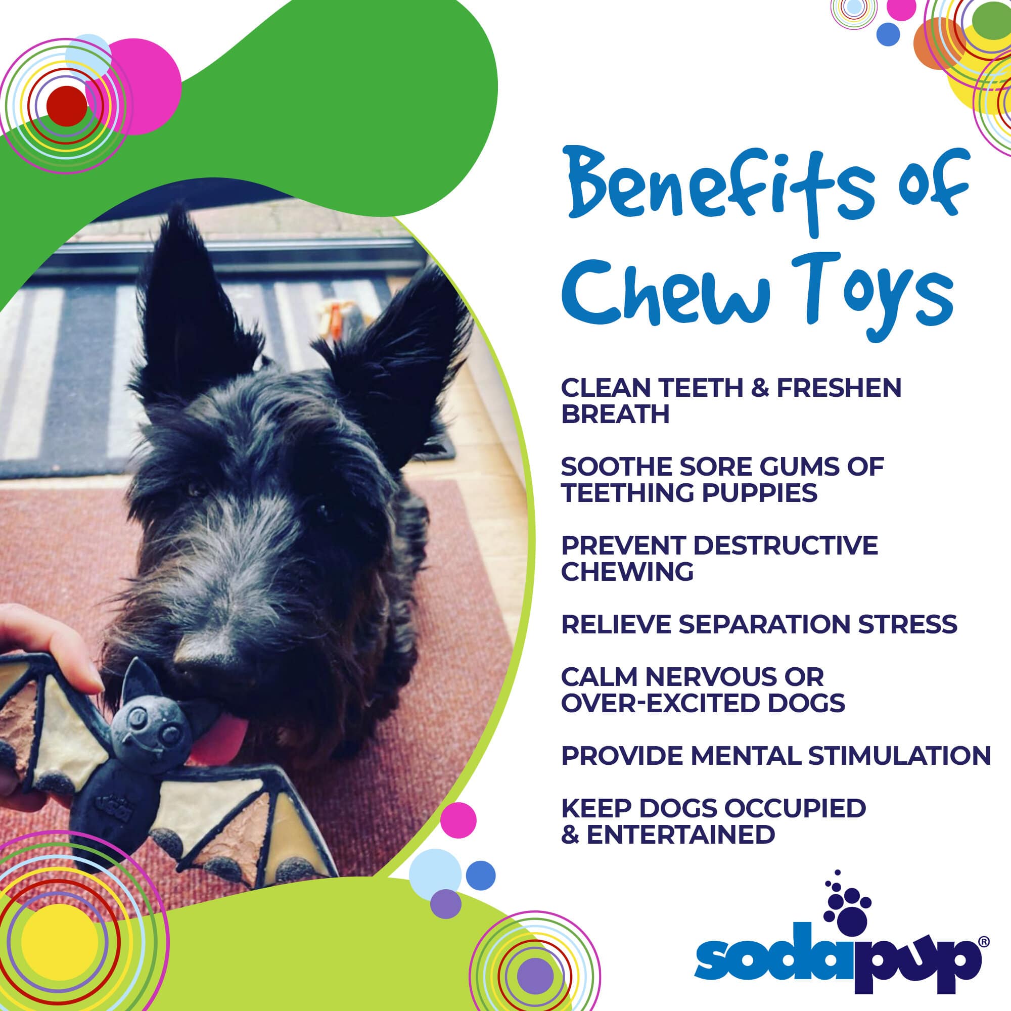 Vampire Bat Nylon Dog Chew Toy for Aggressive Chewers | USA Made & FDA Compliant - Elite Pet Collective