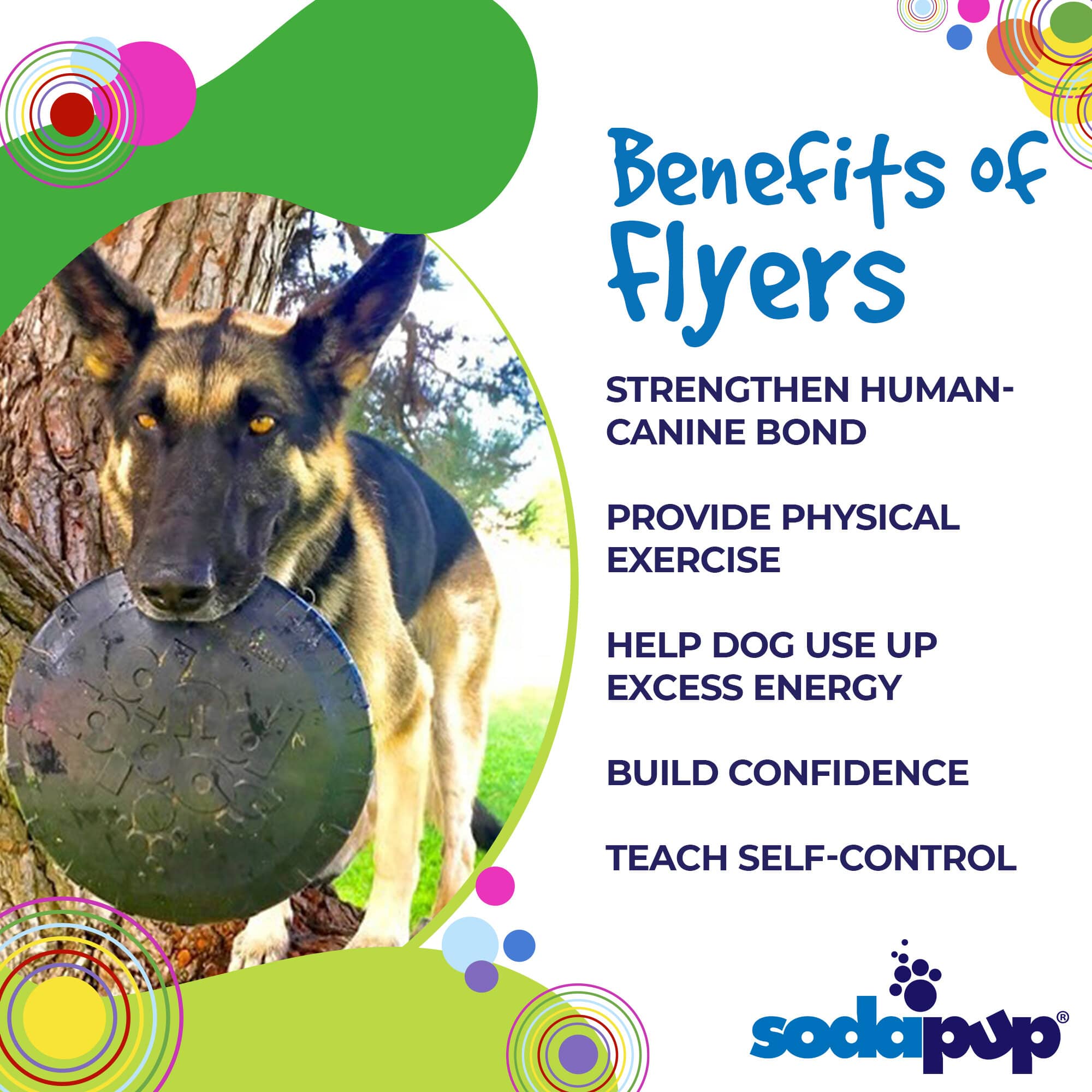 Magnum Bottle Top Flyer Rubber Frisbee for Heavy Chewers | Large | USA Made - Elite Pet Collective