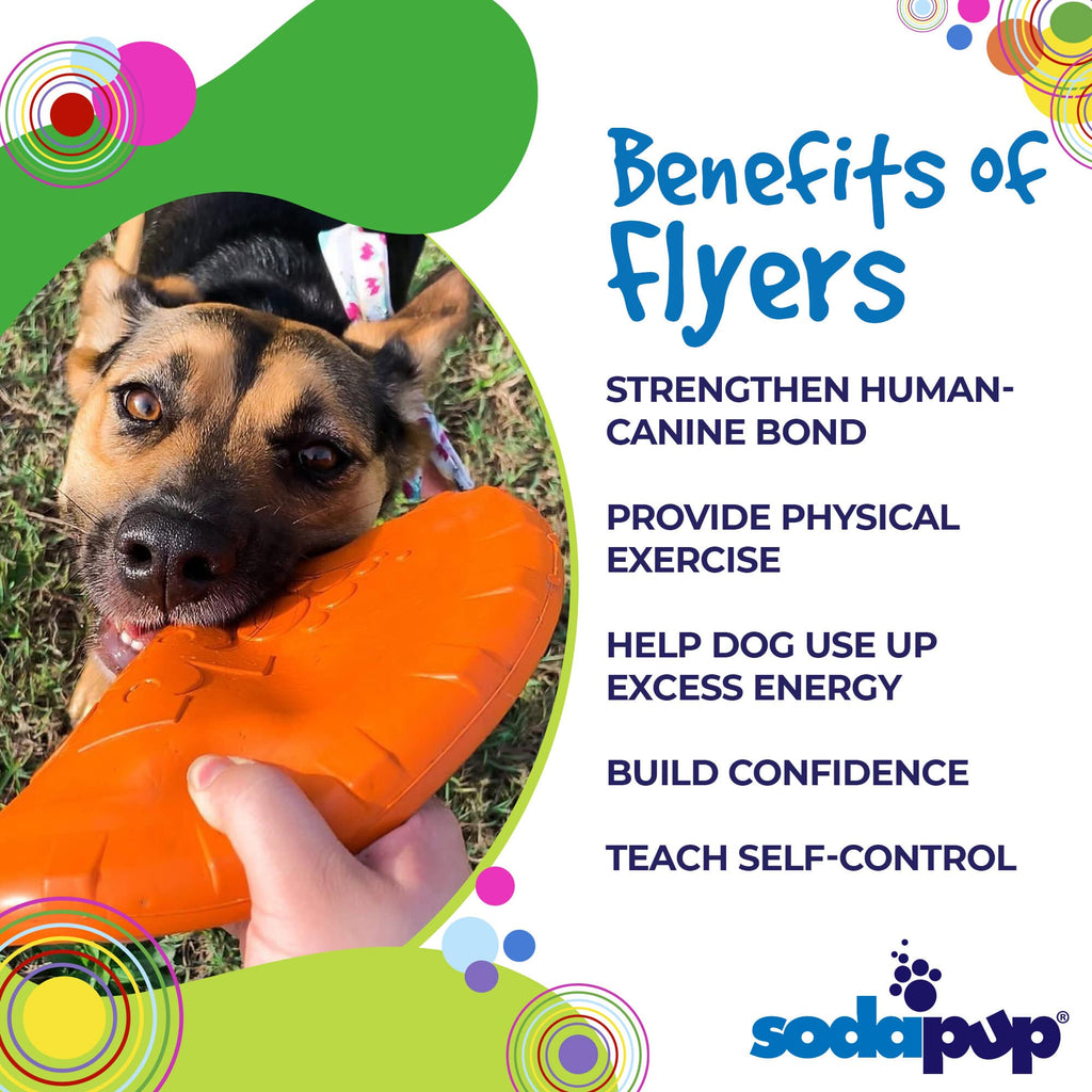 Bottle Top Flyer Rubber Frisbee for Dogs | Orange | Vet Approved | USA Made - Elite Pet Collective