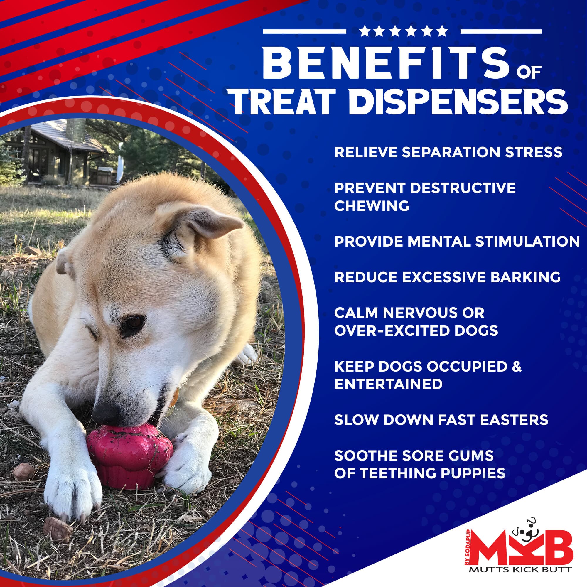 Cupcake eDispenser - Durable Rubber Chew Toy & Treat Dispenser | USA Made - Elite Pet Collective