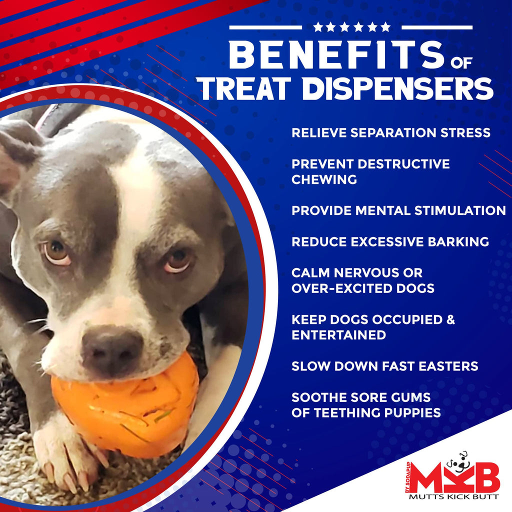 Roasted Turkey Dog Chew Toy & Treat Dispenser - USA Made | SodaPup - Elite Pet Collective