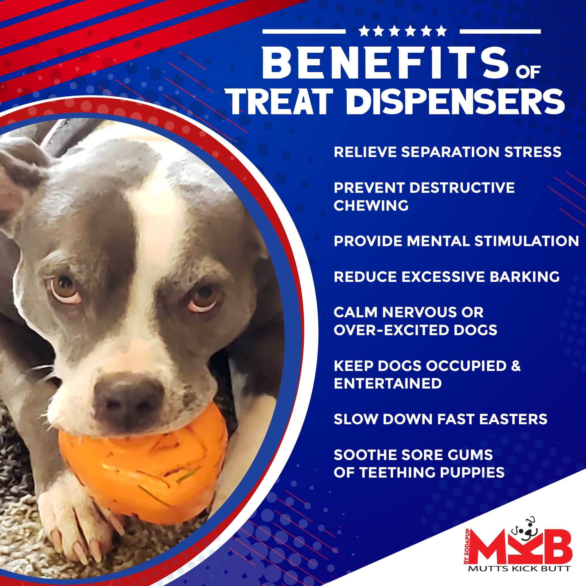 Roasted Turkey Dog Chew Toy & Treat Dispenser - USA Made | SodaPup - Elite Pet Collective