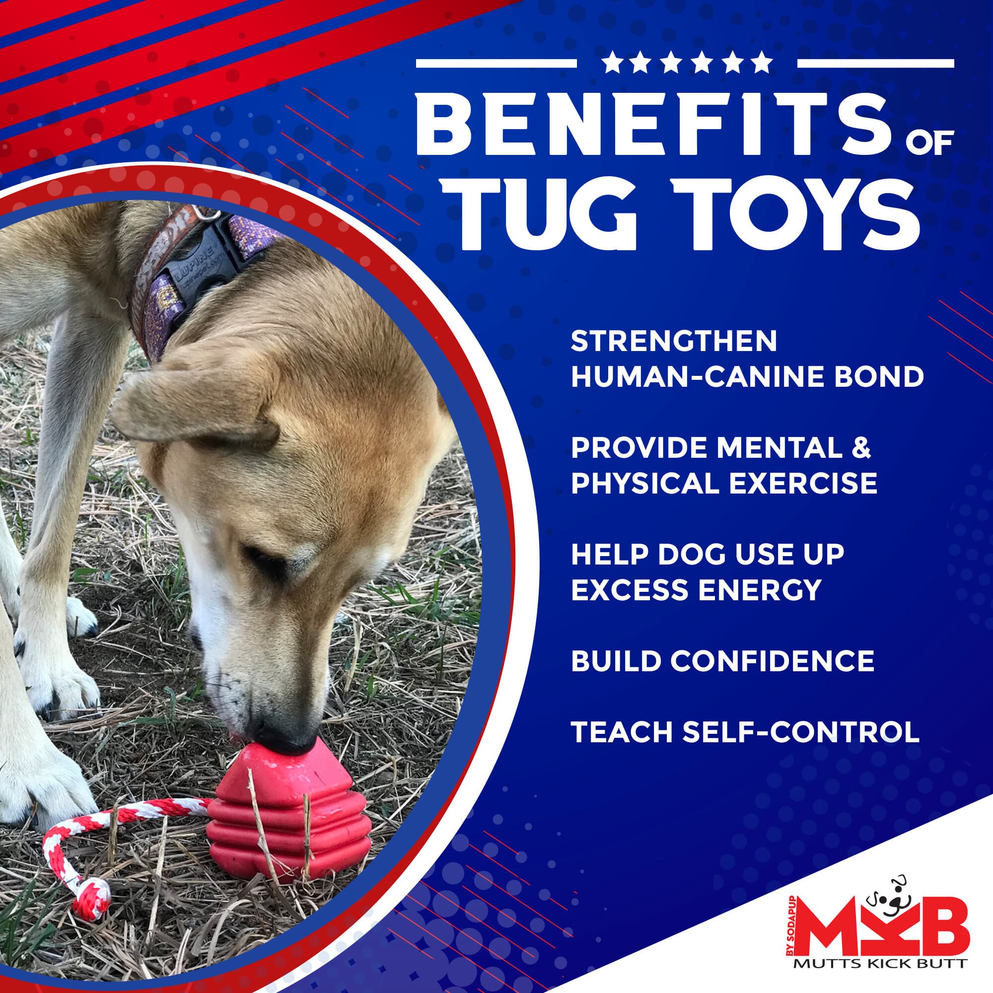 Heart on a String Dog Toy - Durable Rubber Tug Toy for Large Dogs | USA Made - Elite Pet Collective