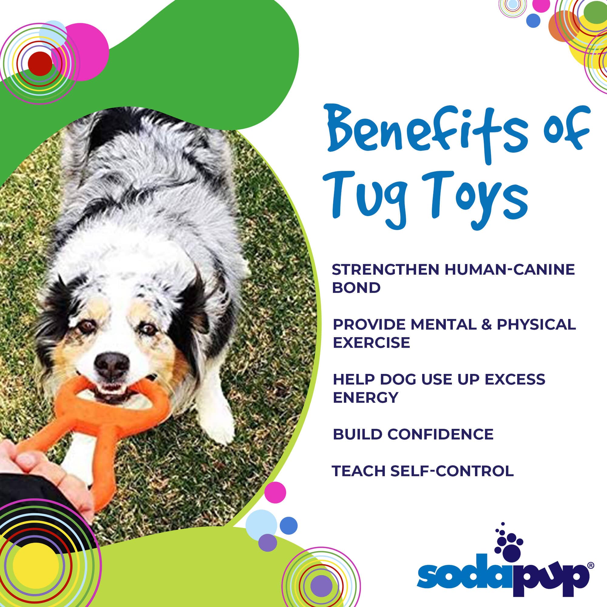 Pop Top Rubber Tug Toy for Interactive Play | Heavy Chewers | USA Made | SodaPup - Elite Pet Collective