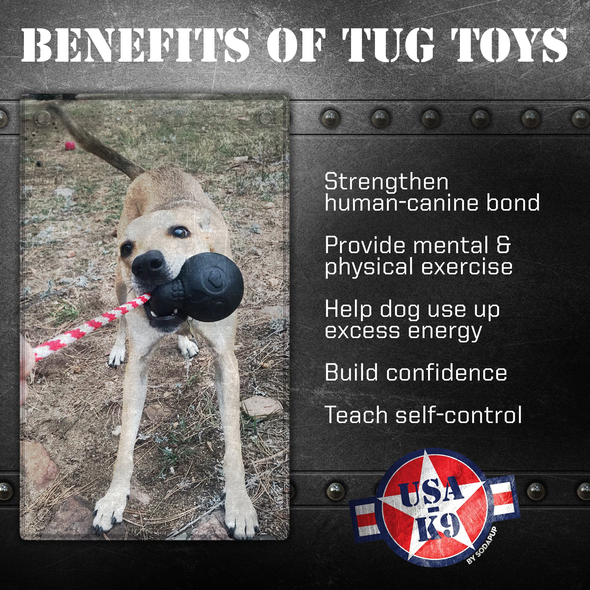 USA-K9 Magnum Skull - Black Magnum Rubber Chew Toy for Extreme Chewers | USA Made - Elite Pet Collective