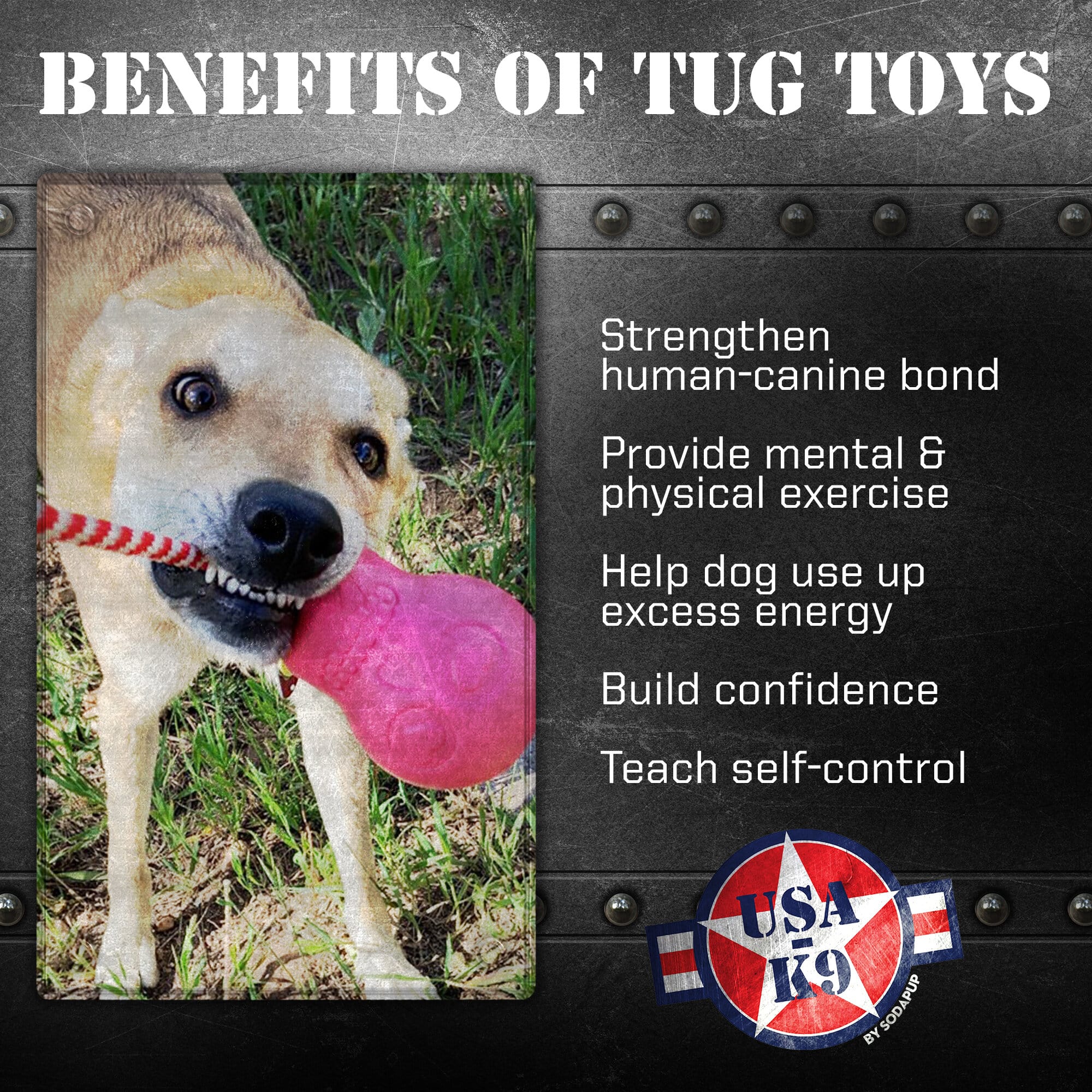 USA-K9 Skull Dog Chew Toy & Treat Dispenser - Made in USA | SodaPup - Elite Pet Collective