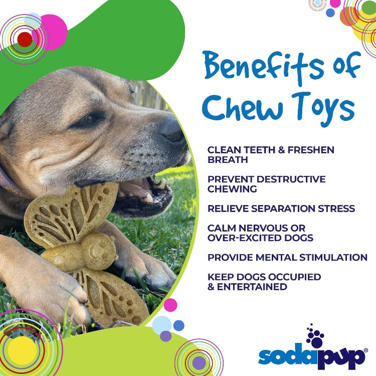 Butterfly Nylon Chew & Enrichment Toy | 2-in-1 for Aggressive Chewers | SodaPup - Elite Pet Collective