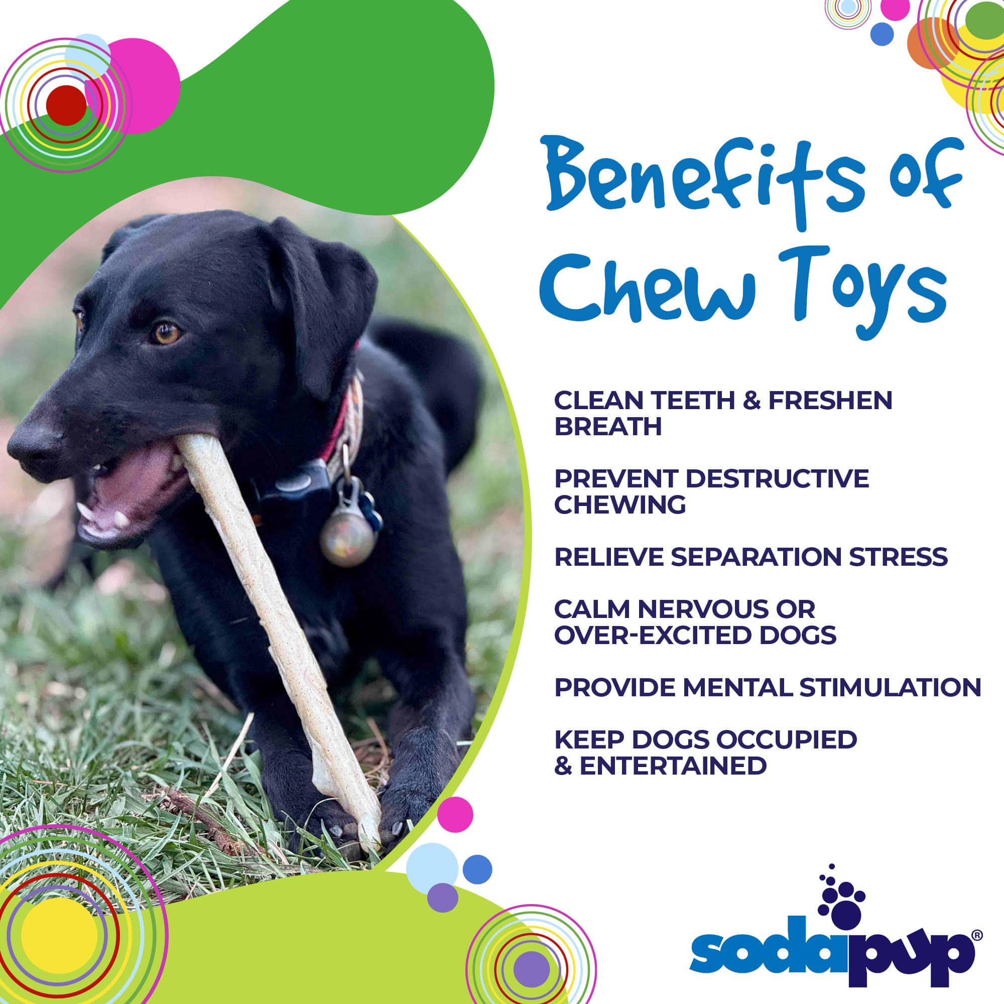 Durable Nylon Chew Stick for Power Chewers | Indestructible Dog Toy USA - Elite Pet Collective