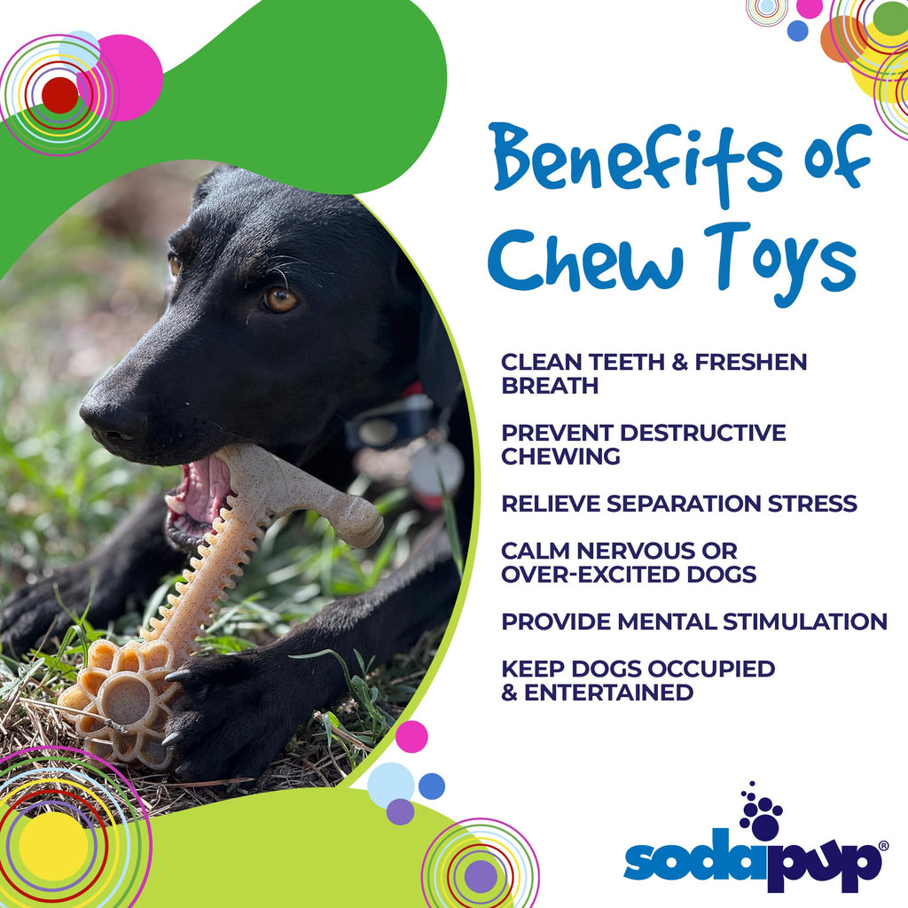 Honey Bone Dental Flower Tower - Indestructible Nylon Dog Chew Toy XL | USA - Elite Pet Collective
