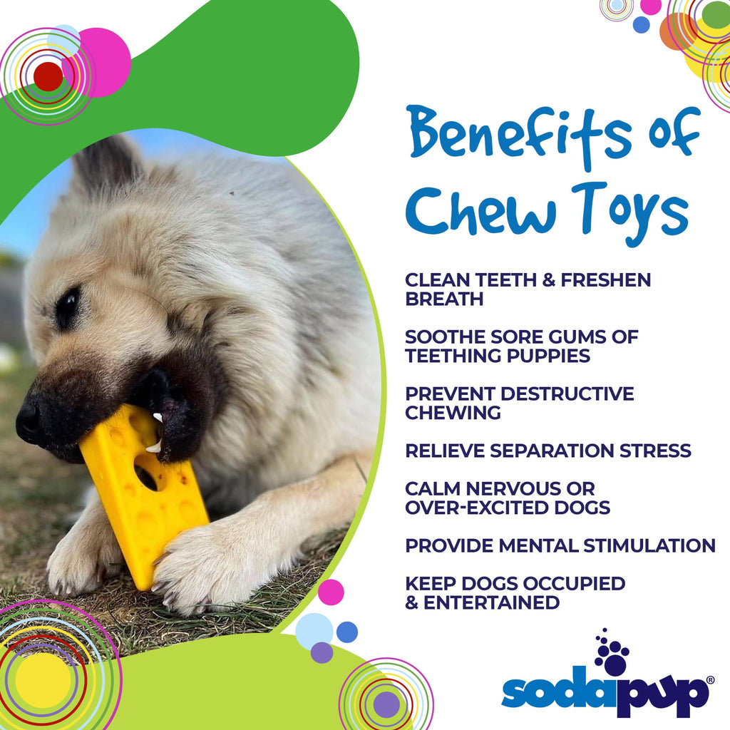 Swiss Cheese Wedge Nylon Dog Chew Toy for Aggressive Chewers | SodaPup - Elite Pet Collective