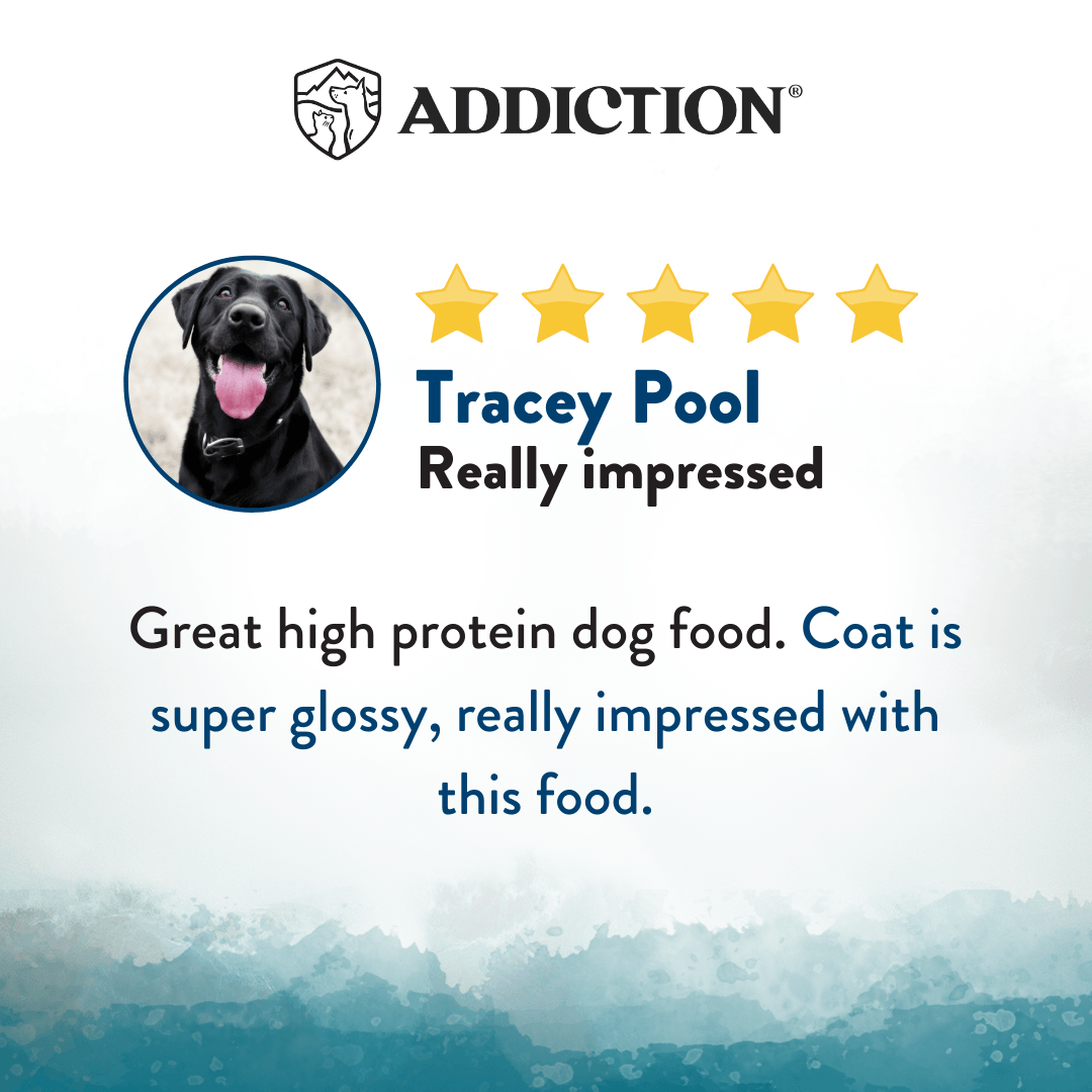 Wild Islands Pacific Catch Premium King Salmon Mackerel & Hoki Dry Dog Food - Elite Pet Collective
