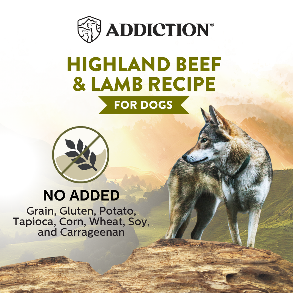 Wild Islands Highland Beef & Lamb Recipe Premium Grain-free Canned Dog Food 185g - Elite Pet Collective