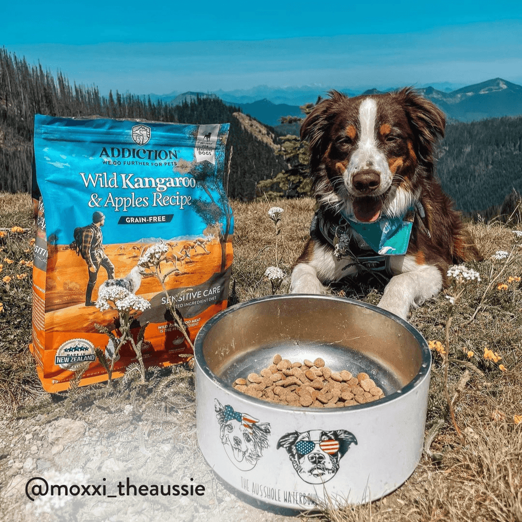 Wild Kangaroo & Apples Recipe Dry Dog Food - Elite Pet Collective