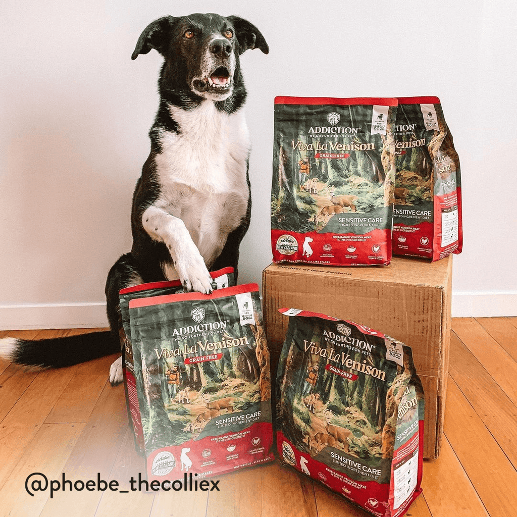 Viva La Venison Dry Dog Food - Elite Pet Collective